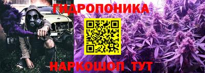 PSILOCYBIN Берёзовский