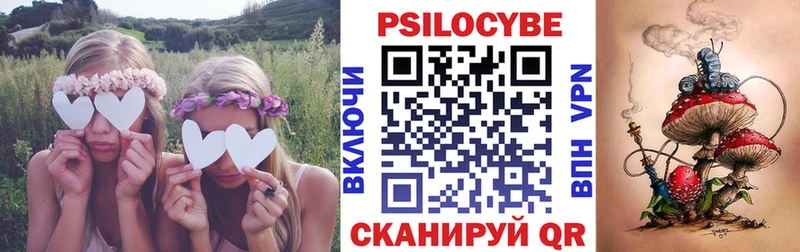 где можно купить   даркнет клад  Псилоцибиновые грибы мухоморы  Гай 