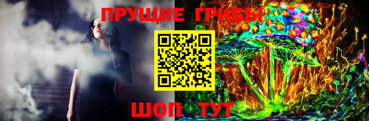 Псилоцибиновые грибы прущие грибы  Вход с VPN  Гай 