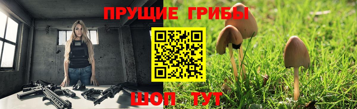 Галлюциногенные грибы GOLDEN TEACHER Гай