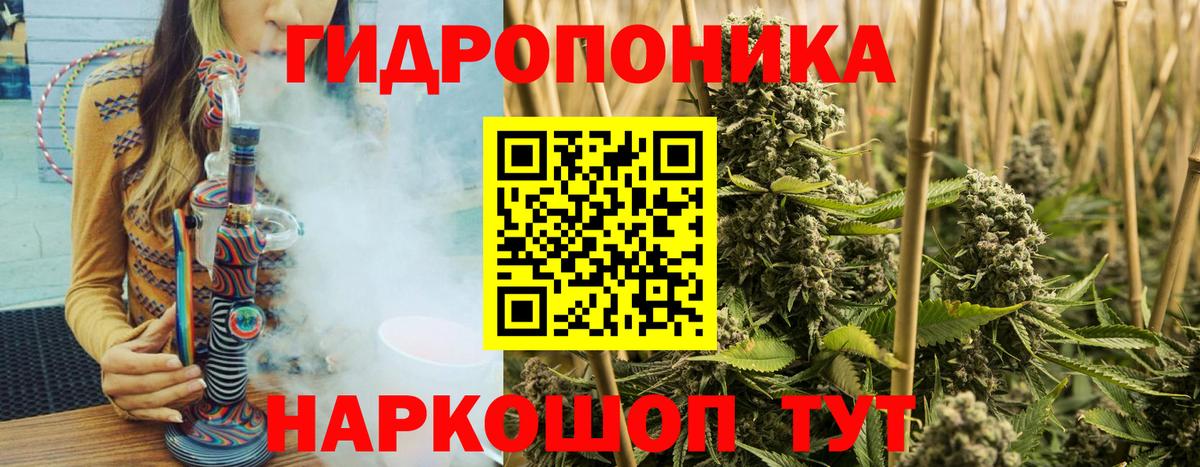 Шишки марихуана семена  Гай  Бошки марихуана THC 21%  МАРИХУАНА конопля 